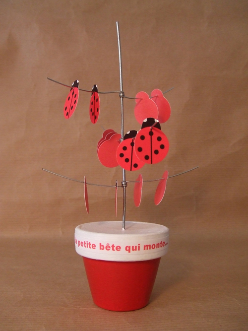 coccinelles